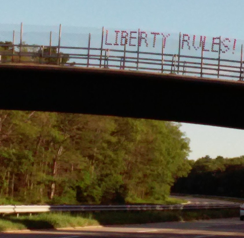 LIBERTY RULES! Bridge Banner
